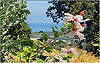 Agia Triada (Rethymnon): Meerblick vom Garten der Villa Francesca